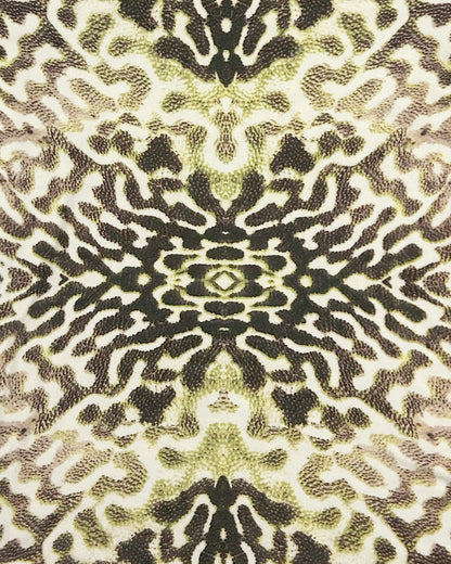 Cavalli, Toxic Frog T-Shirt